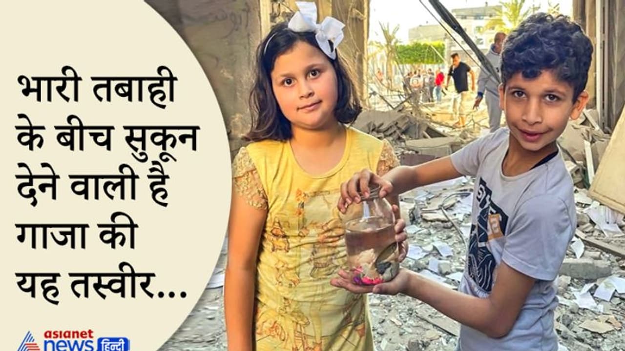 उम्मीद : जहां जिंदगियां बारूद के ढेर पर हैं, वहां ये भाई बहन नन्हीं मछली को बचाकर गर्व कर रहे हैं उम्मीद : जहां जिंदगियां बारूद के ढेर पर हैं, वहां ये भाई बहन नन्हीं मछली को बचाकर गर्व कर रहे हैं