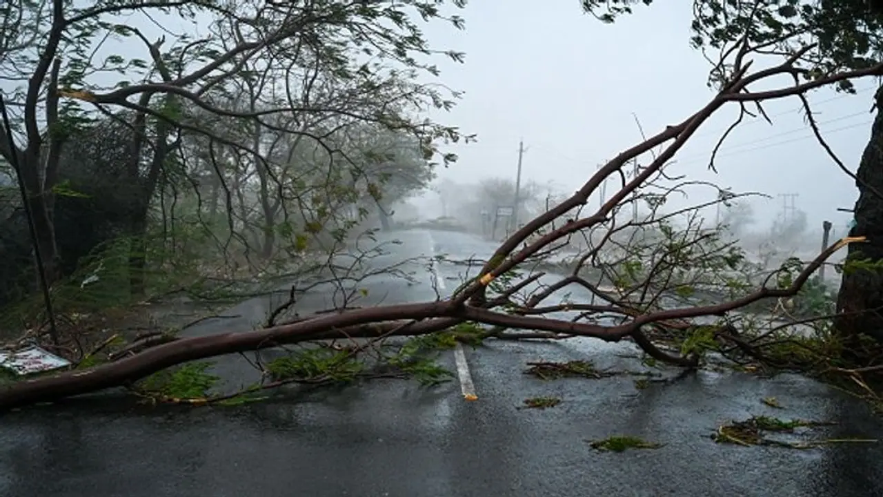 চোখ রাঙানি যশের, মোকাবিলায় প্রস্তুতি তুঙ্গে দক্ষিণ ২৪ পরগনায়, দুর্যোগ ঠেকাতে কী কী পদক্ষেপ নেওয়া হচ্ছে চোখ রাঙানি যশের, মোকাবিলায় প্রস্তুতি তুঙ্গে দক্ষিণ ২৪ পরগনায়, দুর্যোগ ঠেকাতে কী কী পদক্ষেপ নেওয়া হচ্ছে