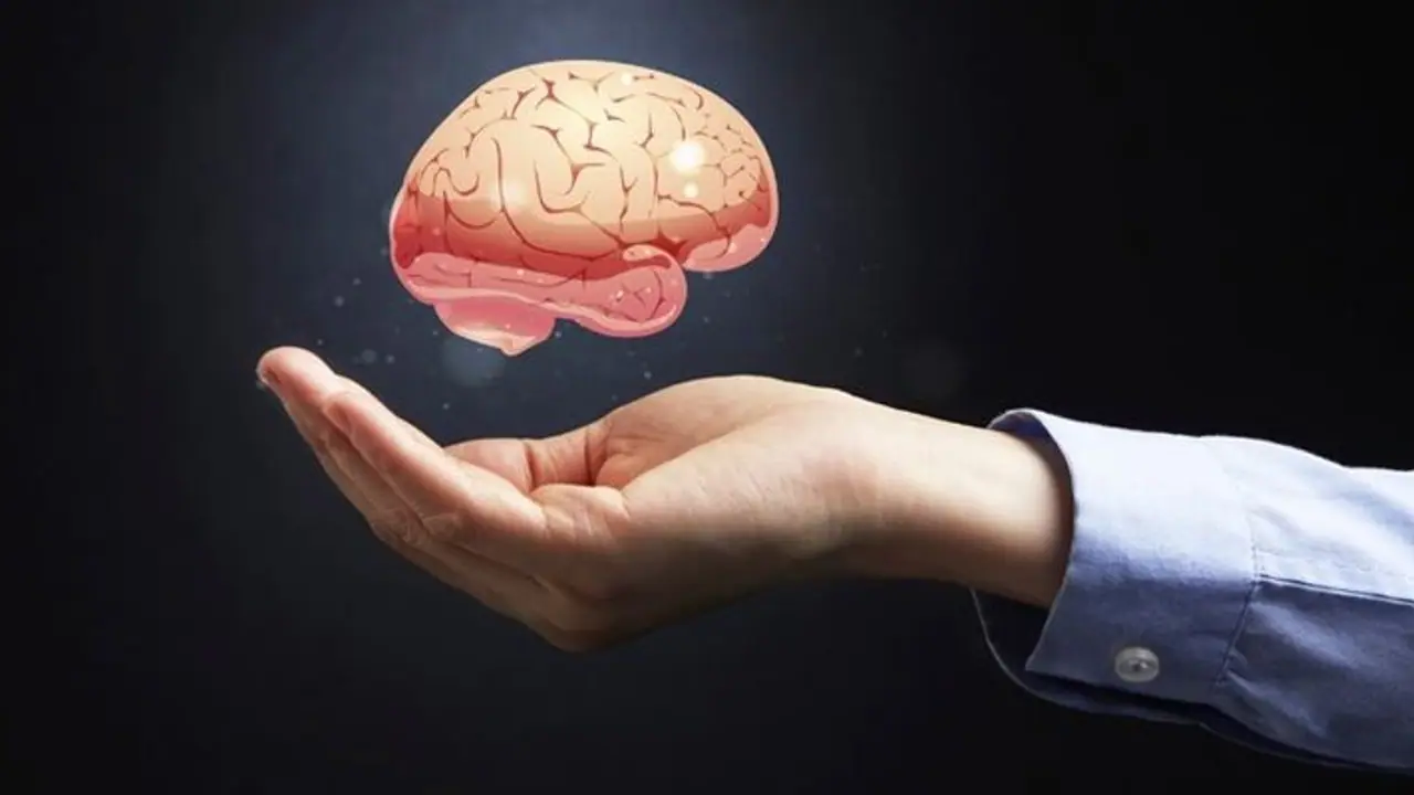 World Brain Day 2022 : 'ബ്രെയിനിനെ ഹാപ്പിയാക്കാം'; തലച്ചോറിന്റെ ആരോ​ഗ്യത്തിനായി ആറ് കാര്യങ്ങൾ ശ്രദ്ധിക്കാം