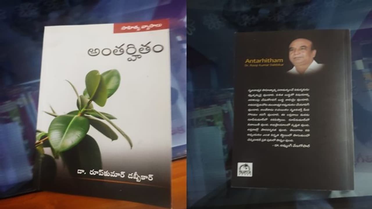 అంతర్హితం: విమర్శలో బహుముఖీనత