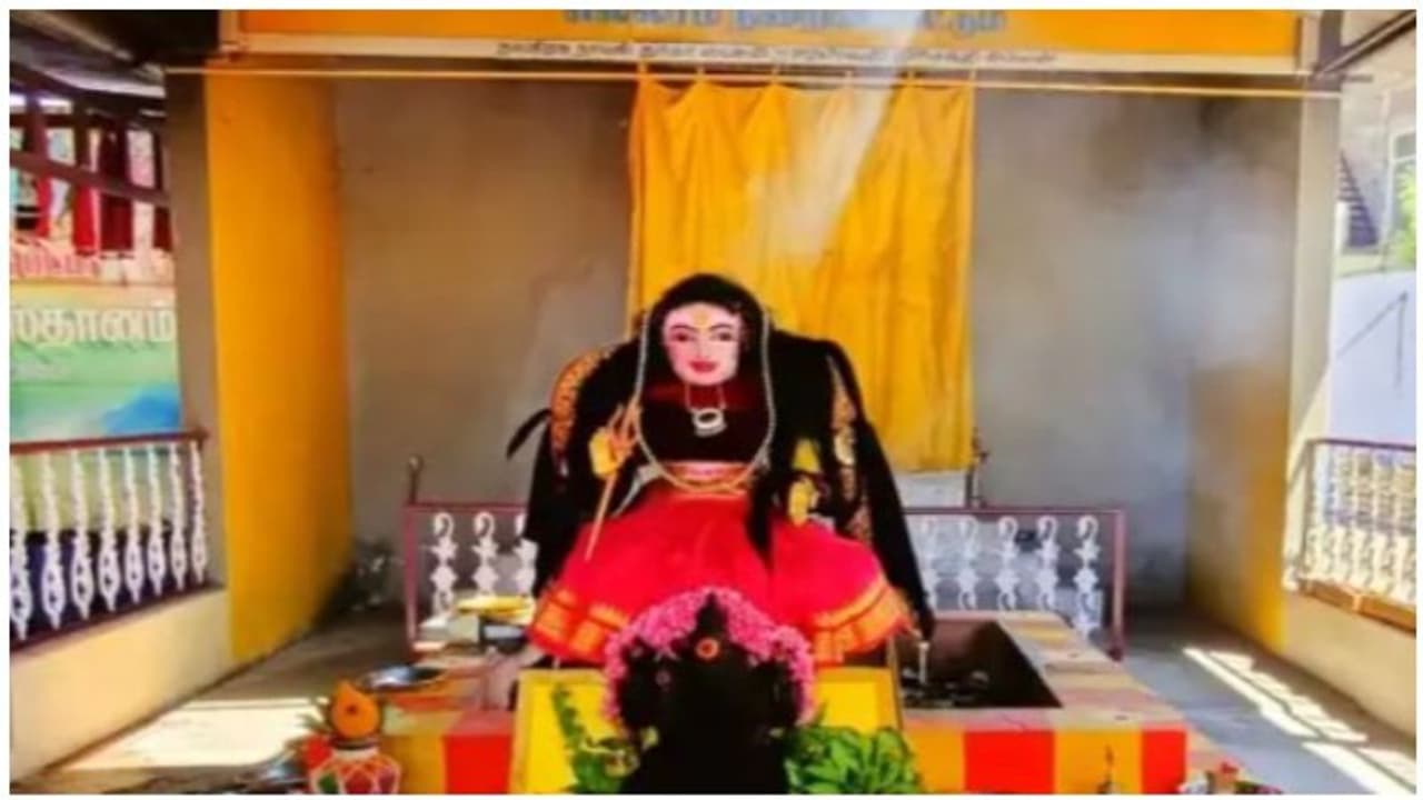 வந்துட்டாடா ஆத்தா... ஓடுஓடுஓடு... கொரோனாவை விரட்ட கோவையில் கொரோனா தேவி சிலை..! வந்துட்டாடா ஆத்தா... ஓடுஓடுஓடு... கொரோனாவை விரட்ட கோவையில் கொரோனா தேவி சிலை..!