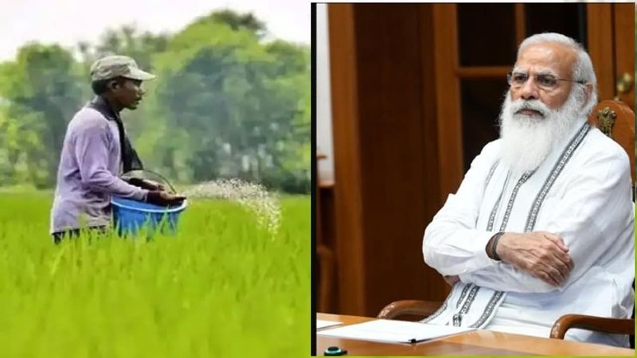 প্রধানমন্ত্রীর উদ্যোগেই সারে বাড়ল ভর্তুকি, করোনাকালে আরও একবার কৃষকদের পাশে থাকার বার্তা
