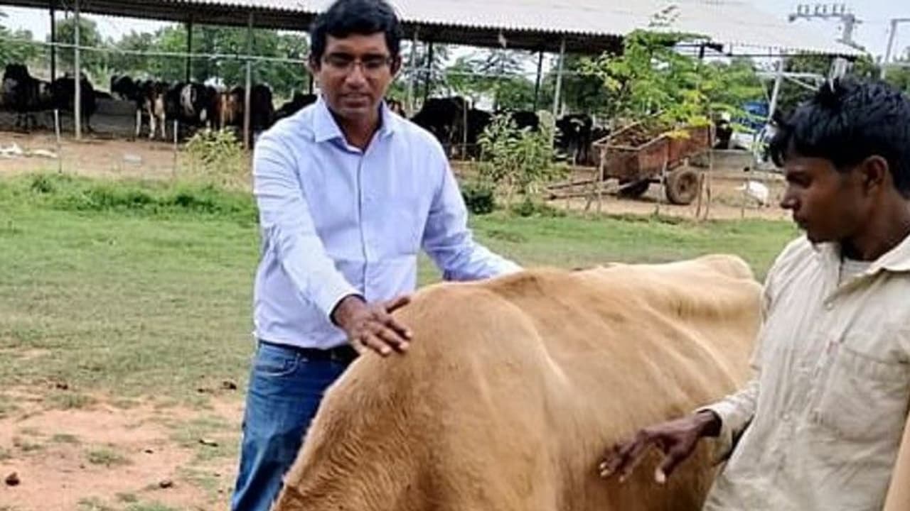 അമേരിക്കന് ജോലി കളഞ്ഞ് നാട്ടില് പാല്ക്കച്ചവടം തുടങ്ങി; ഇന്ന് വരുമാനം കോടികള്! അമേരിക്കന് ജോലി കളഞ്ഞ് നാട്ടില് പാല്ക്കച്ചവടം തുടങ്ങി; ഇന്ന് വരുമാനം കോടികള്!