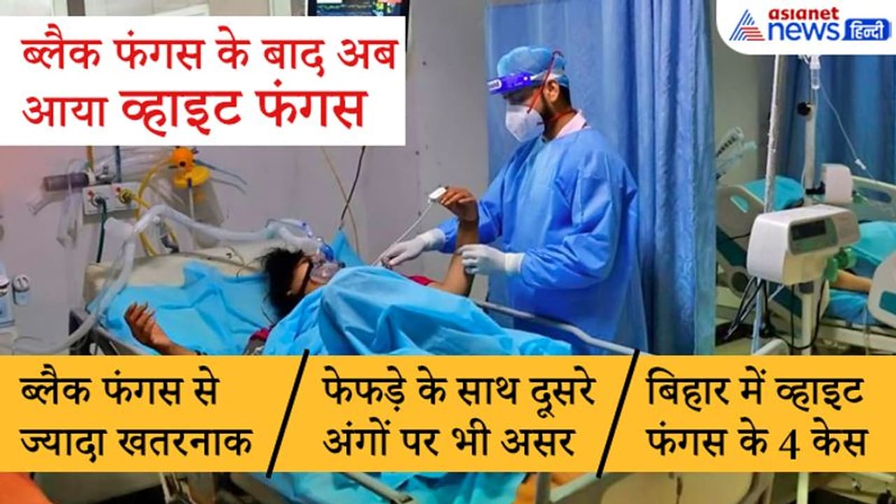 फेफड़े के अलावा दूसरे अंगों को भी करता है डैमेज, जानें कैसे ब्लैक फंगस से ज्यादा खतरनाक है व्हाइट फंगस?
