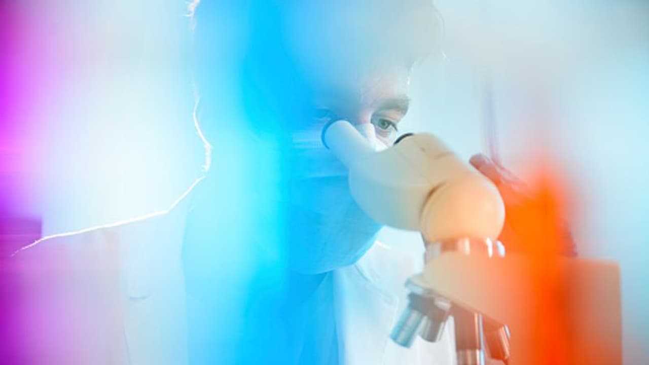 കോഴിക്കോട് സ്വദേശി ബ്ലാക്ക് ഫംഗസ് ബാധിച്ച് മരിച്ചു കോഴിക്കോട് സ്വദേശി ബ്ലാക്ക് ഫംഗസ് ബാധിച്ച് മരിച്ചു