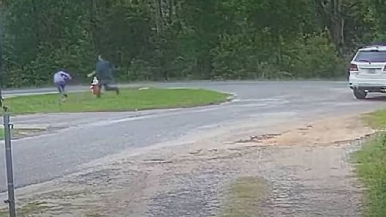 തട്ടിക്കൊണ്ട് പോകാന് ശ്രമിച്ചയാളെ തുരത്തി പതിനൊന്നുകാരി; വൈറലായി വീഡിയോ തട്ടിക്കൊണ്ട് പോകാന് ശ്രമിച്ചയാളെ തുരത്തി പതിനൊന്നുകാരി; വൈറലായി വീഡിയോ