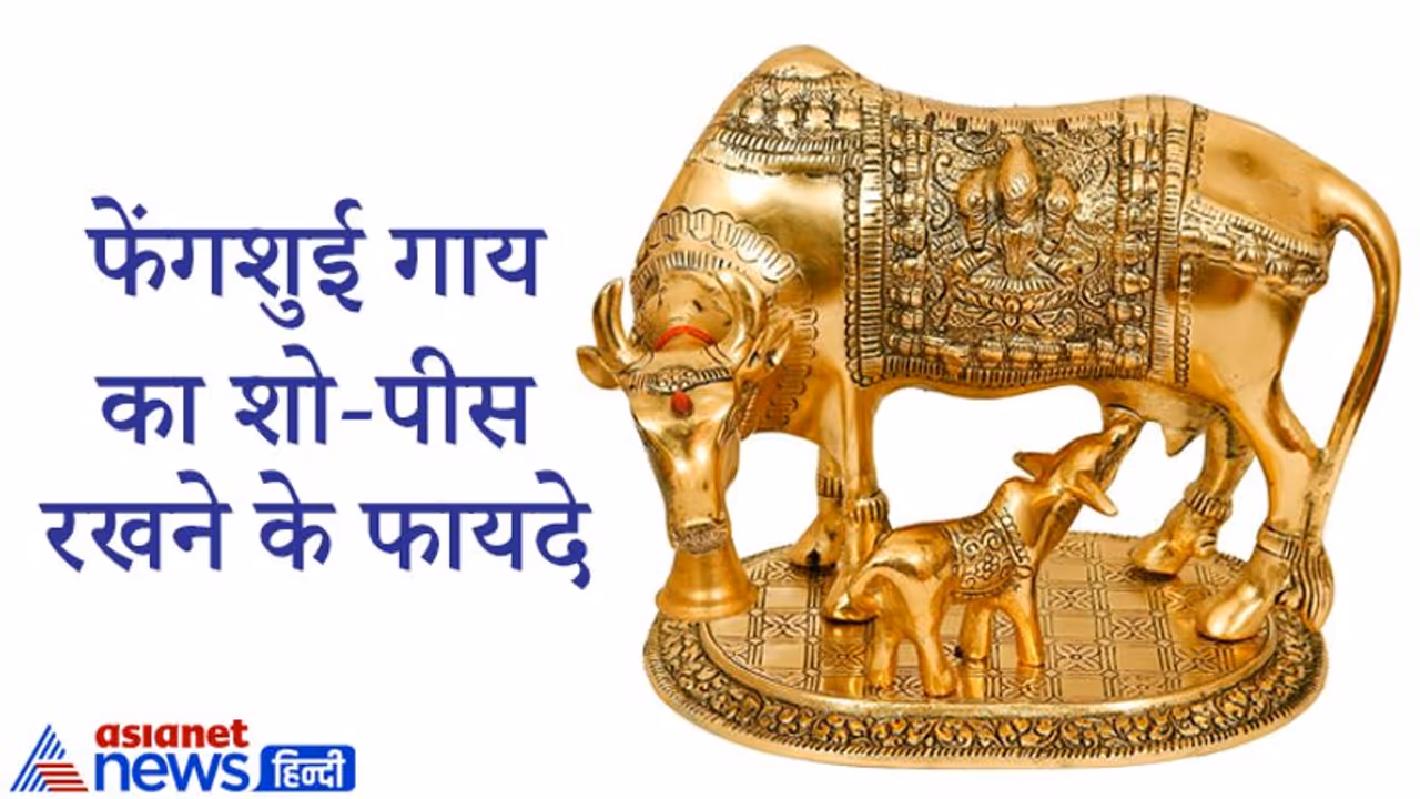 घर और ऑफिस में रखना चाहिए गाय का ये खास शो पीस, इससे बनते हैं संतान प्राप्ति के योग घर और ऑफिस में रखना चाहिए गाय का ये खास शो पीस, इससे बनते हैं संतान प्राप्ति के योग