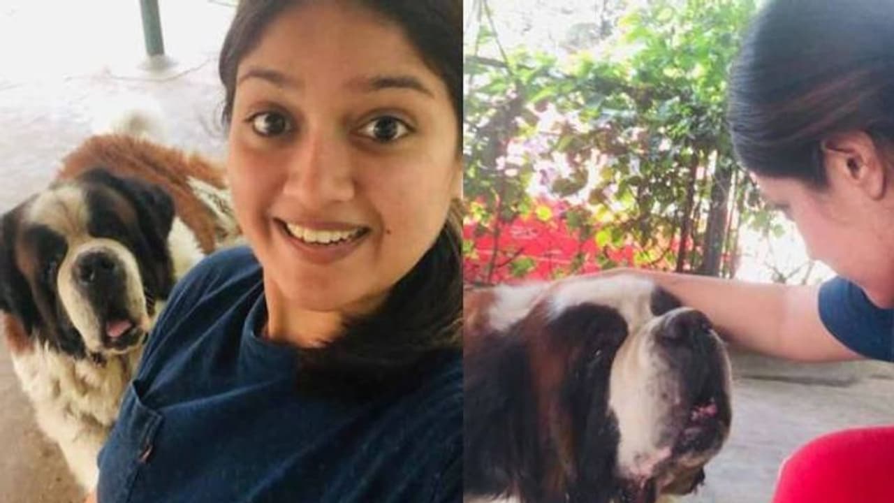 'ഒരുപാട് നഷ്ടങ്ങള്, ഇന്ന് അവനും പോയി'; വളര്ത്തുനായയുടെ വിയോഗത്തില് ഹൃദയം തകര്ന്ന് മേഘ്ന രാജ് 'ഒരുപാട് നഷ്ടങ്ങള്, ഇന്ന് അവനും പോയി'; വളര്ത്തുനായയുടെ വിയോഗത്തില് ഹൃദയം തകര്ന്ന് മേഘ്ന രാജ്