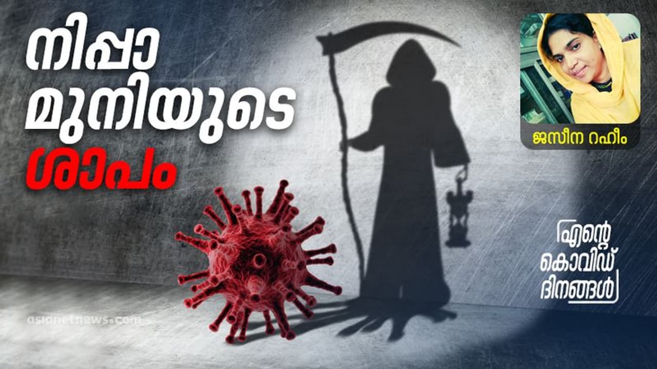 പൂച്ചപോലുമറിഞ്ഞു, ശരീരത്തിലെ മാരകവൈറസിന്റെ സാന്നിധ്യം!