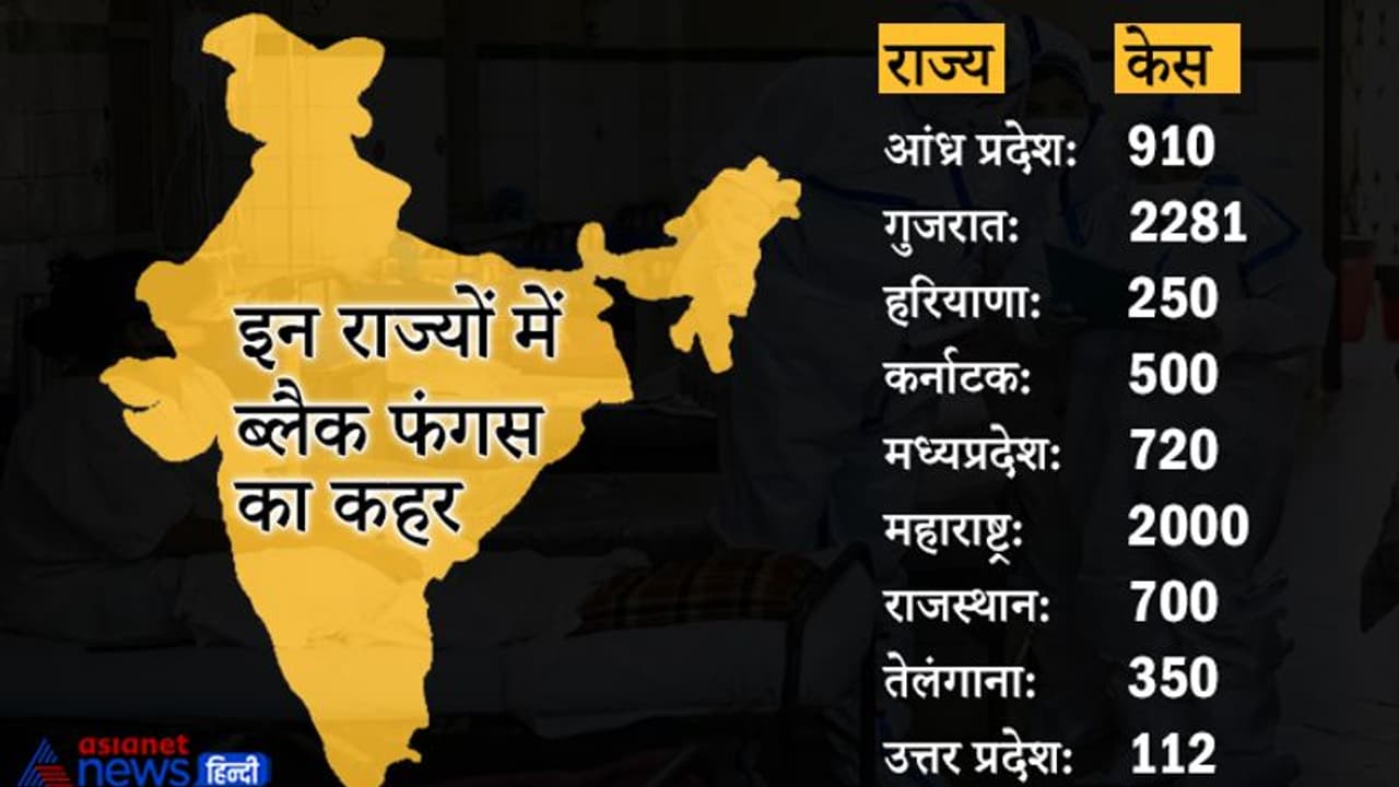 देश में ब्लैक फंगस के 9000 केस, केंद्र ने राज्यों को भेजीं एम्पोटेरिसीन बी इंजेक्शन की 23000 शीशियां देश में ब्लैक फंगस के 9000 केस, केंद्र ने राज्यों को भेजीं एम्पोटेरिसीन बी इंजेक्शन की 23000 शीशियां
