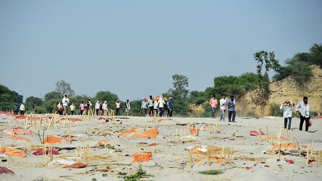 మరోసారి గంగానది ఒడ్డున మృతదేహల కలకలం: కరోనాతో చనిపోయినవారేనా? మరోసారి గంగానది ఒడ్డున మృతదేహల కలకలం: కరోనాతో చనిపోయినవారేనా?