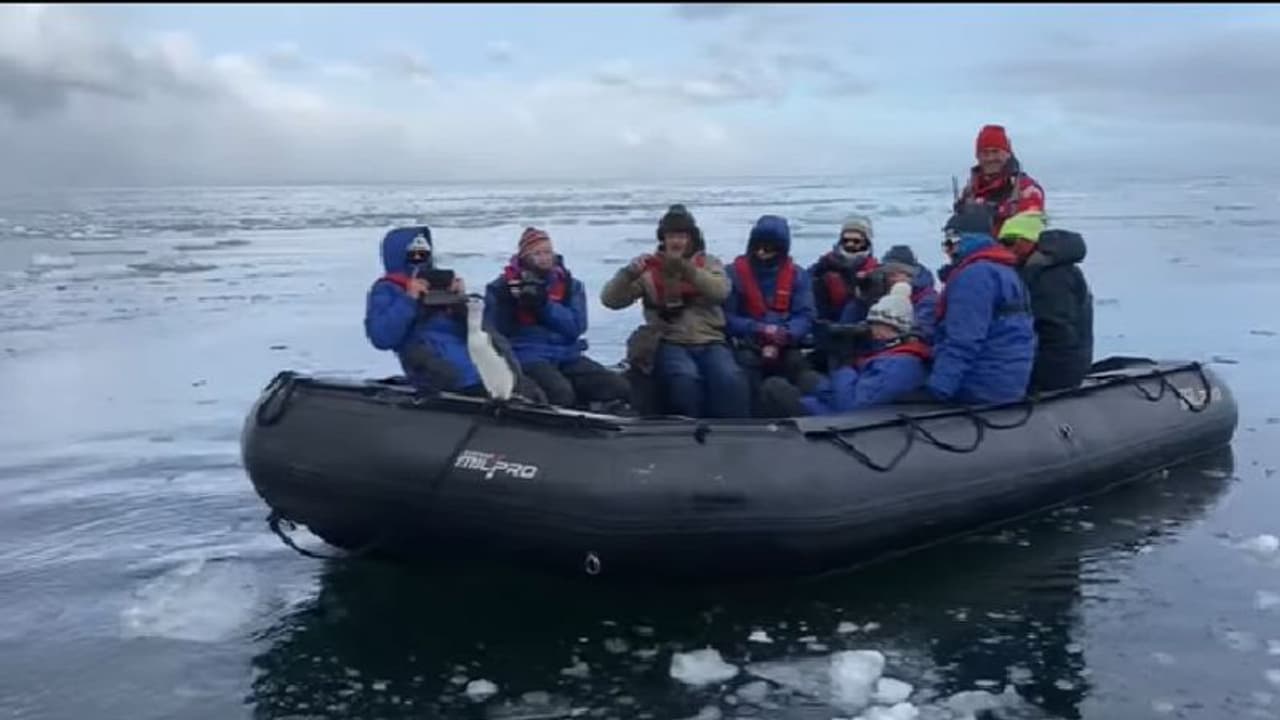 വിനോദസഞ്ചാരികളുടെ ബോട്ടിലേക്ക് കടലില് നിന്ന് ചാടിക്കയറി അപ്രതീക്ഷിത അതിഥി; വീഡിയോ... വിനോദസഞ്ചാരികളുടെ ബോട്ടിലേക്ക് കടലില് നിന്ന് ചാടിക്കയറി അപ്രതീക്ഷിത അതിഥി; വീഡിയോ...
