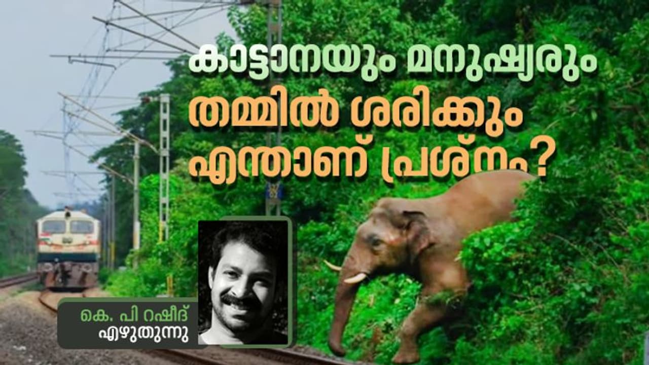 കാട്ടില്പ്പാര്ക്കുന്ന ആനകള്ക്ക് നാട്ടിലെന്താണ് കാര്യം? കാട്ടില്പ്പാര്ക്കുന്ന ആനകള്ക്ക് നാട്ടിലെന്താണ് കാര്യം?