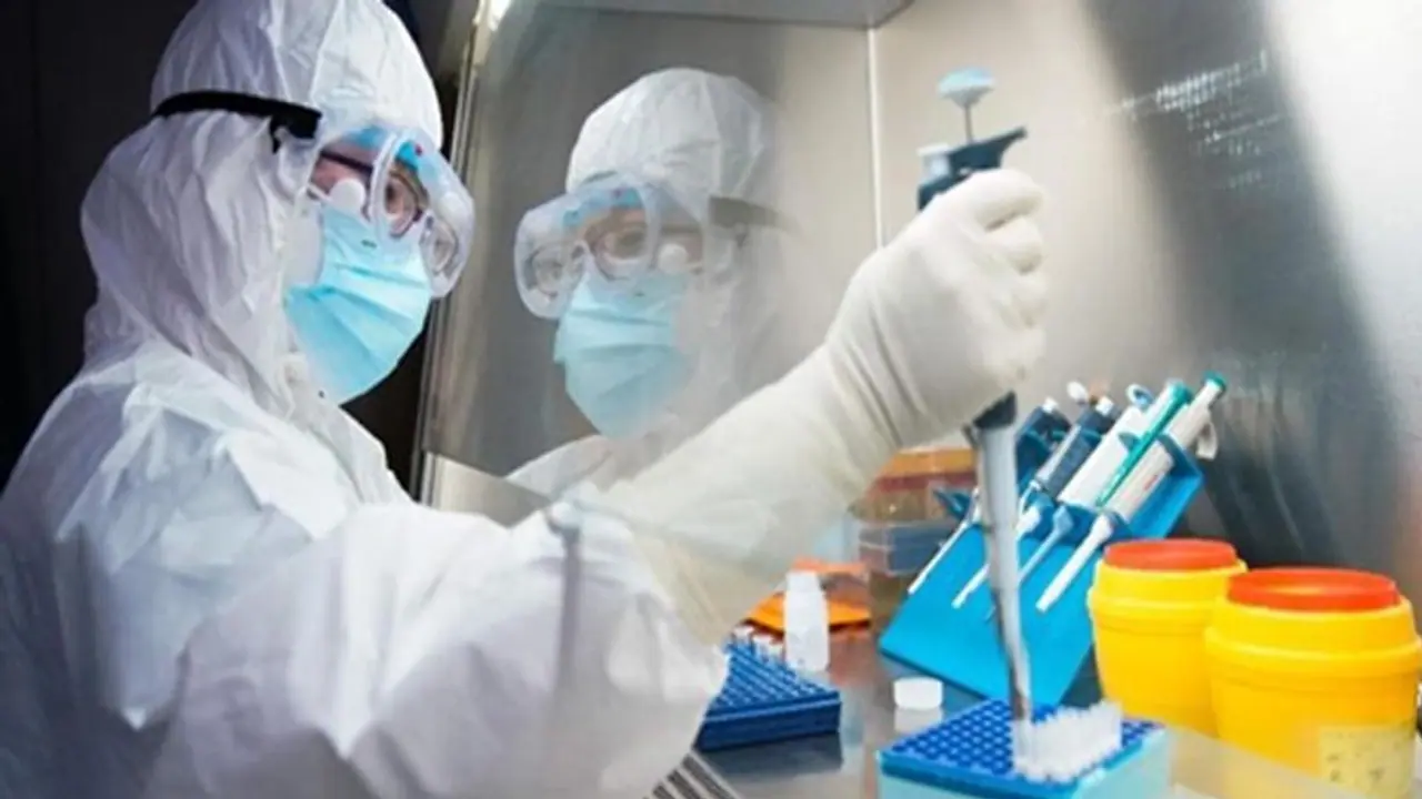 COVID 19 origin probe 'stalled', time 'running out', says WHO experts COVID 19 origin probe 'stalled', time 'running out', says WHO experts