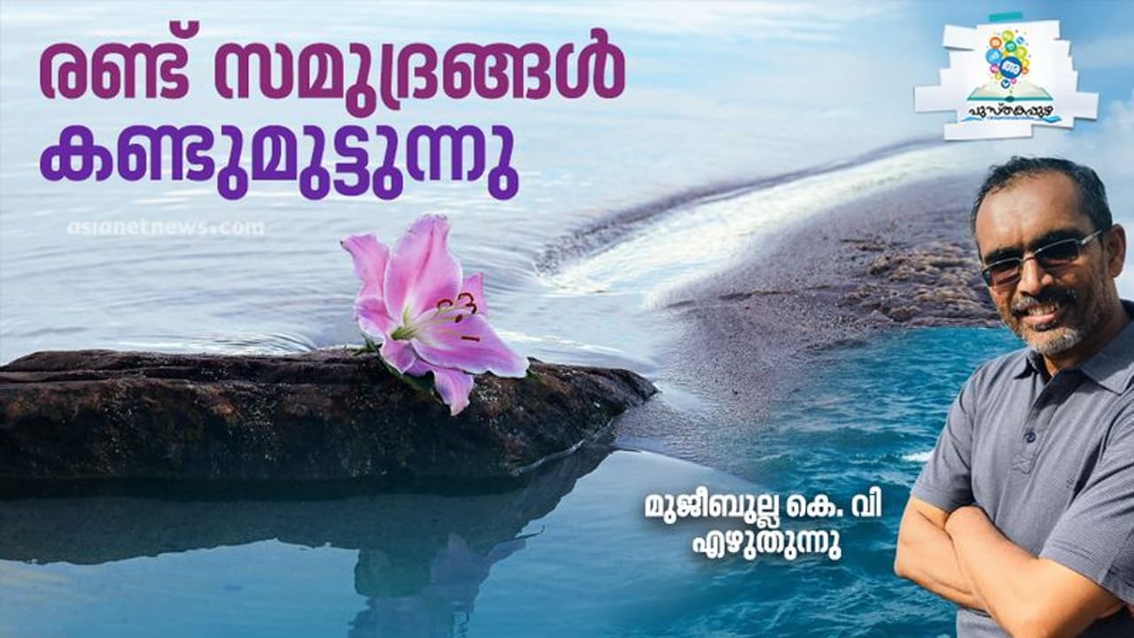 പ്രണയത്തിന്റെ നാല്‍പ്പത് നിയമങ്ങള്‍; ജീവിതത്തിന്റെയും