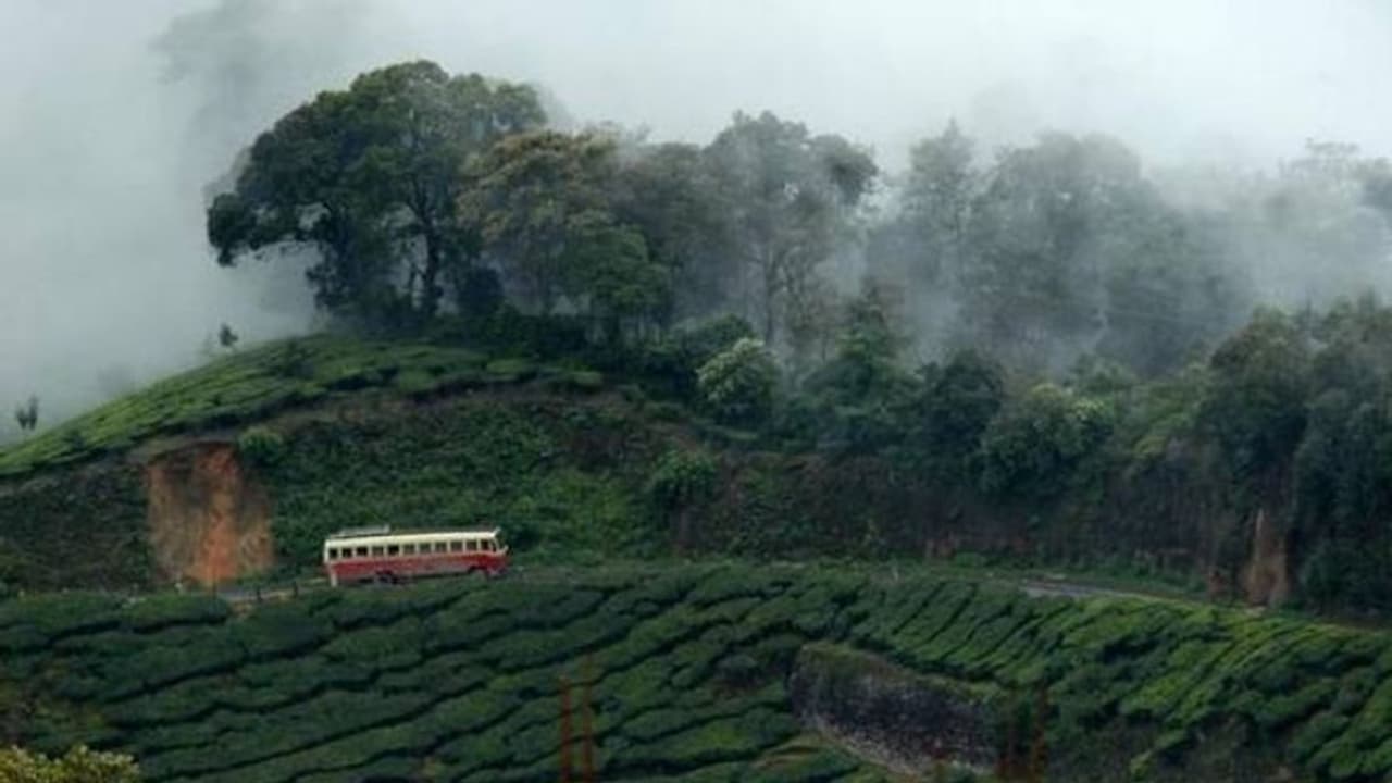 കൊവിഡ് കാല പ്രതിസന്ധിക്കൊപ്പം ദുരിതമായി സര്ക്കാര് ആശുപത്രി റോഡും, പരിഹാരം തേടി നാട്ടുകാർ കൊവിഡ് കാല പ്രതിസന്ധിക്കൊപ്പം ദുരിതമായി സര്ക്കാര് ആശുപത്രി റോഡും, പരിഹാരം തേടി നാട്ടുകാർ