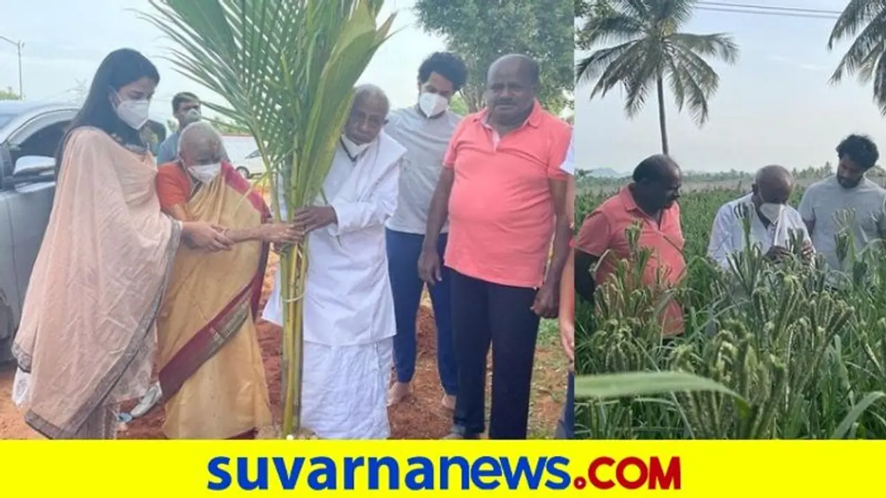 ಮೊಮ್ಮಗ ನಿಖಿಲ್ ಕೃಷಿ ಕಾರ್ಯ ಮೆಚ್ಚಿ ಭೇಷ್ ಎಂದ ದೇವೇಗೌಡರು!