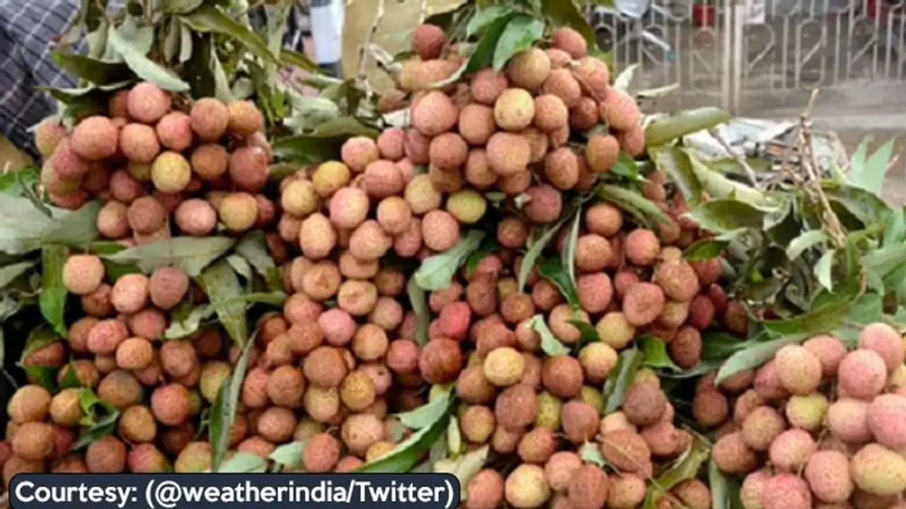 Boosting farmers’ incomes: Shahi Litchi from Bihar exported to United Kingdom Boosting farmers’ incomes: Shahi Litchi from Bihar exported to United Kingdom