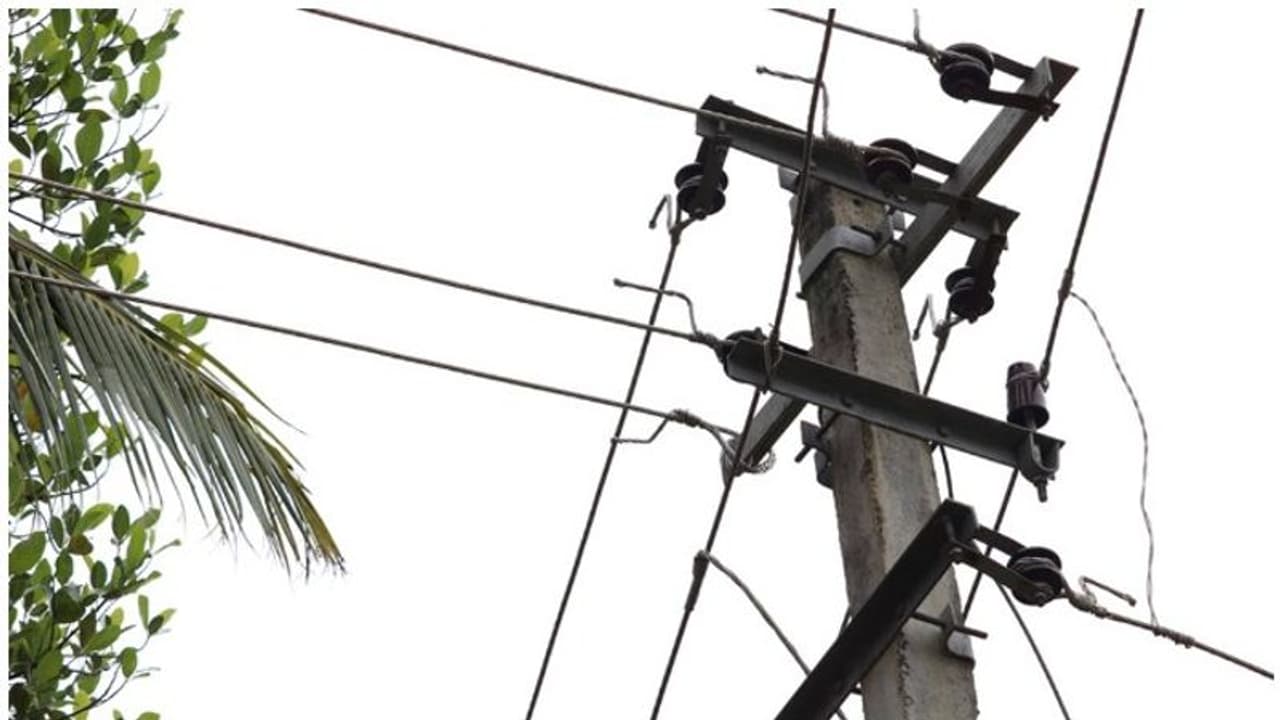 അട്ടപ്പാടിയിൽ വൈദ്യുതി ലൈൻ പൊട്ടി വീണ് ഒരാൾ മരിച്ചു അട്ടപ്പാടിയിൽ വൈദ്യുതി ലൈൻ പൊട്ടി വീണ് ഒരാൾ മരിച്ചു