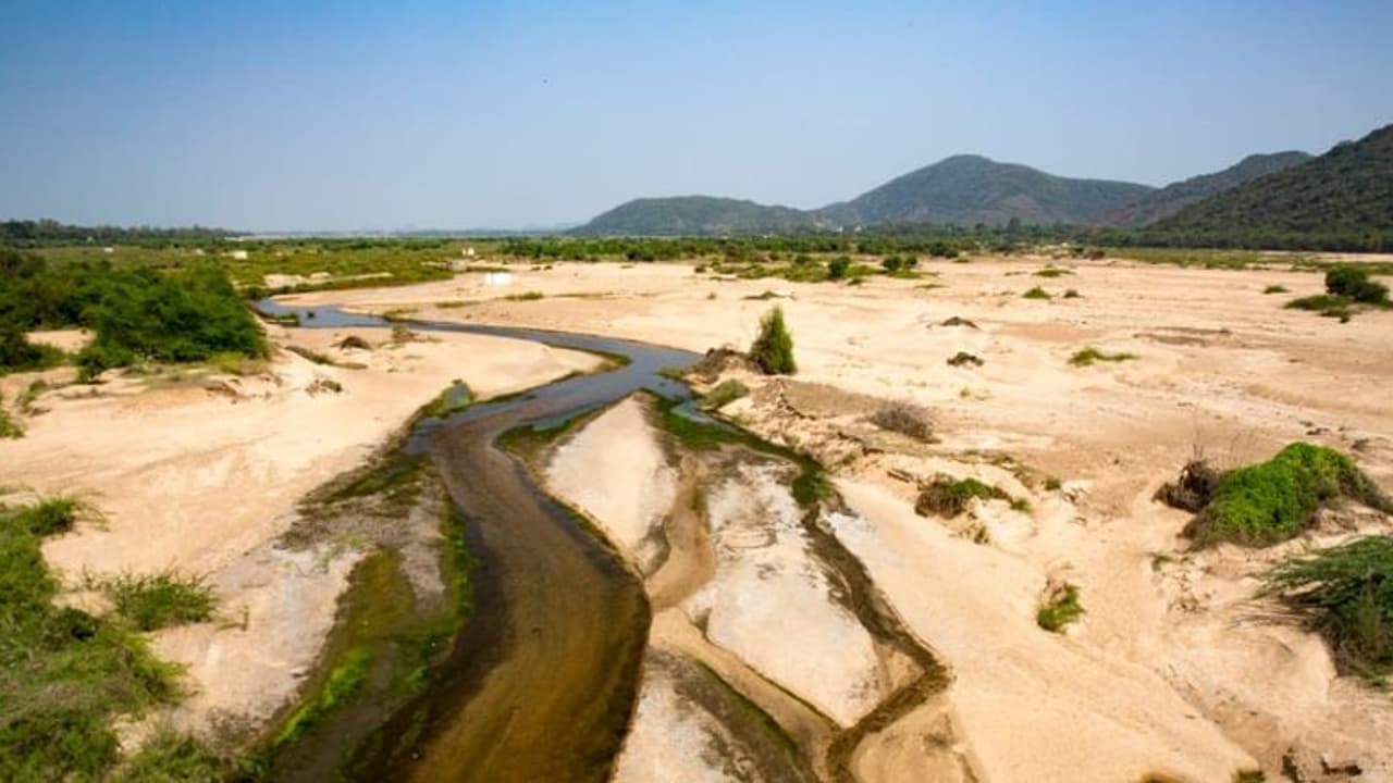 டெல்டா பகுதியில் உள்ள காவிரி ஆற்றை தூர்வாரும் பணிகளை கண்காணிக்க மூத்த ஐஏஎஸ் அதிகாரிகள்.. தமிழக அரசு உத்தரவு. டெல்டா பகுதியில் உள்ள காவிரி ஆற்றை தூர்வாரும் பணிகளை கண்காணிக்க மூத்த ஐஏஎஸ் அதிகாரிகள்.. தமிழக அரசு உத்தரவு.