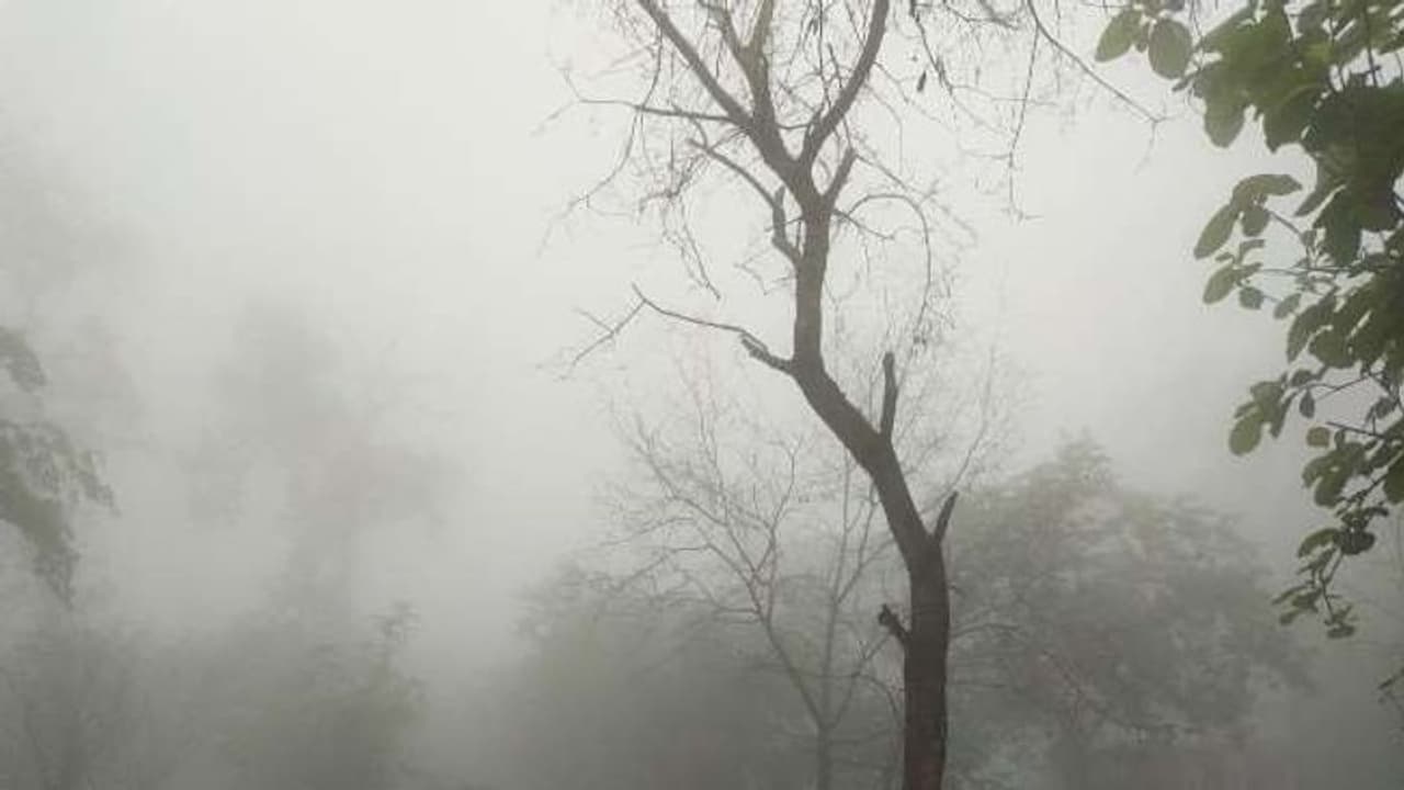 3 ರಾಜ್ಯಗಳಲ್ಲಿ ಯಾಸ್ ಭಾರೀ ಅನಾಹುತ : ಮುಂದುವರೆದ ಭಾರೀ ಮಳೆ 3 ರಾಜ್ಯಗಳಲ್ಲಿ ಯಾಸ್ ಭಾರೀ ಅನಾಹುತ : ಮುಂದುವರೆದ ಭಾರೀ ಮಳೆ