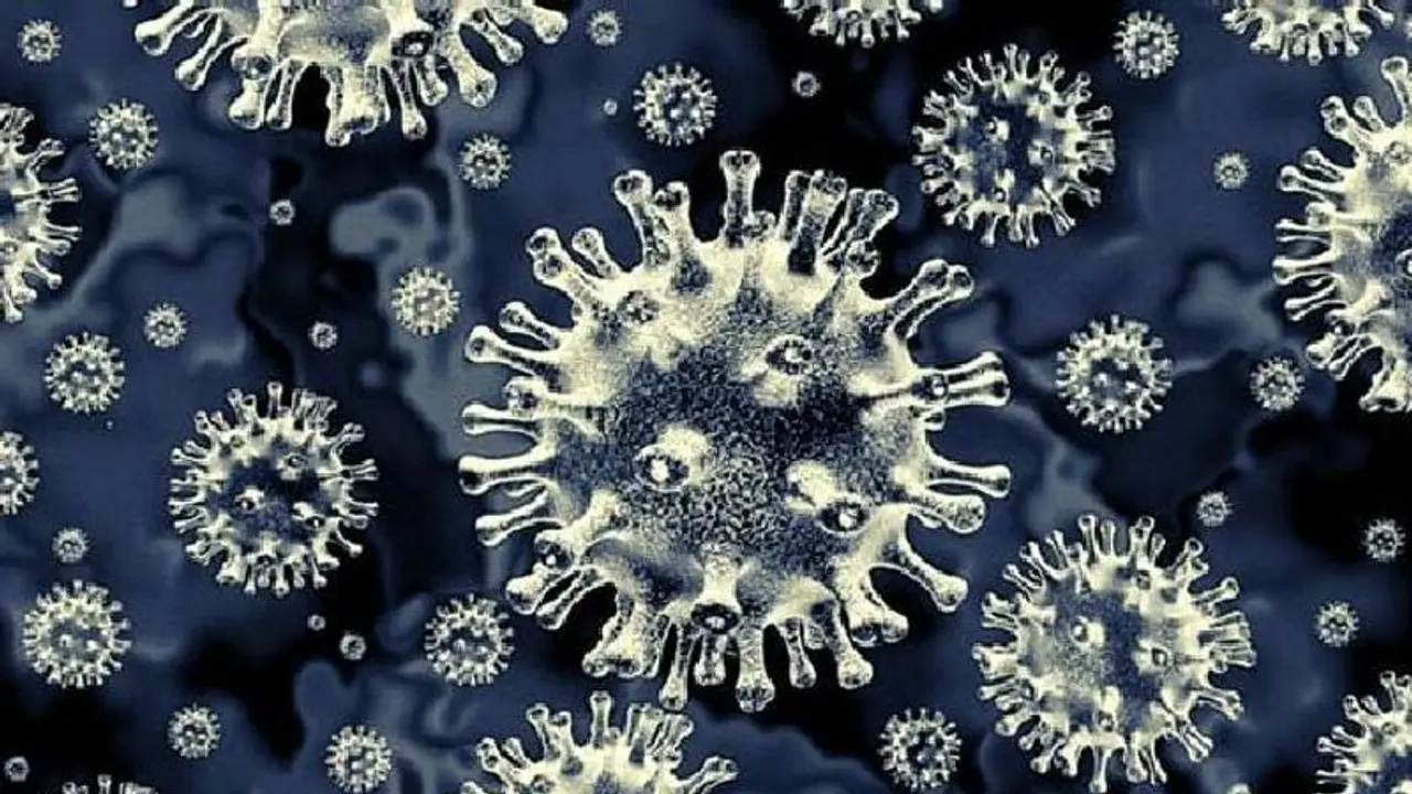 ബ്ലാക്ക് ഫംഗസ്; രാജ്യത്ത് ഇതുവരെ രോഗം സ്ഥിരീകരിച്ചത് 11,717 പേര്ക്ക്; കൂടുതല് രോഗികള് ഈ സംസ്ഥാനത്ത്... ബ്ലാക്ക് ഫംഗസ്; രാജ്യത്ത് ഇതുവരെ രോഗം സ്ഥിരീകരിച്ചത് 11,717 പേര്ക്ക്; കൂടുതല് രോഗികള് ഈ സംസ്ഥാനത്ത്...