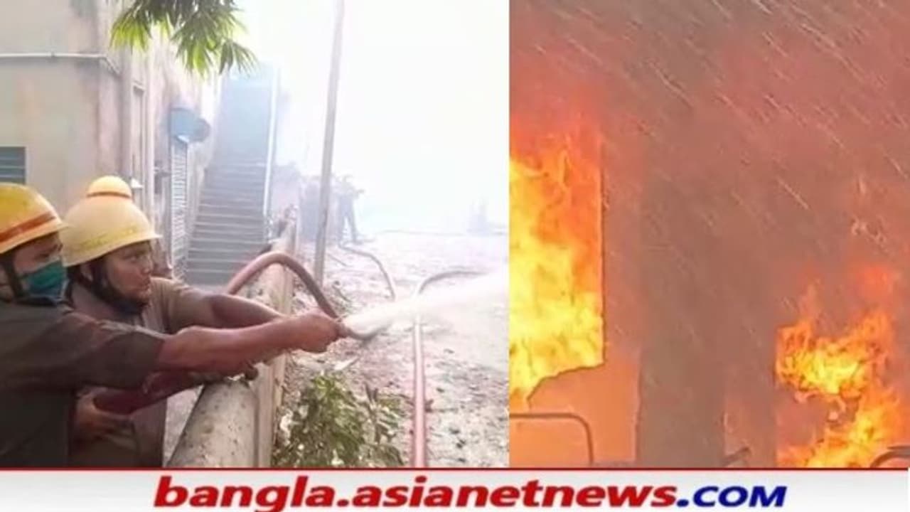 সাজিরহাটের কারখানায় বিধ্বংসী অগ্নিকাণ্ড, লেলিহান শিখা ছড়াল ওষুধের গোডাউনেও