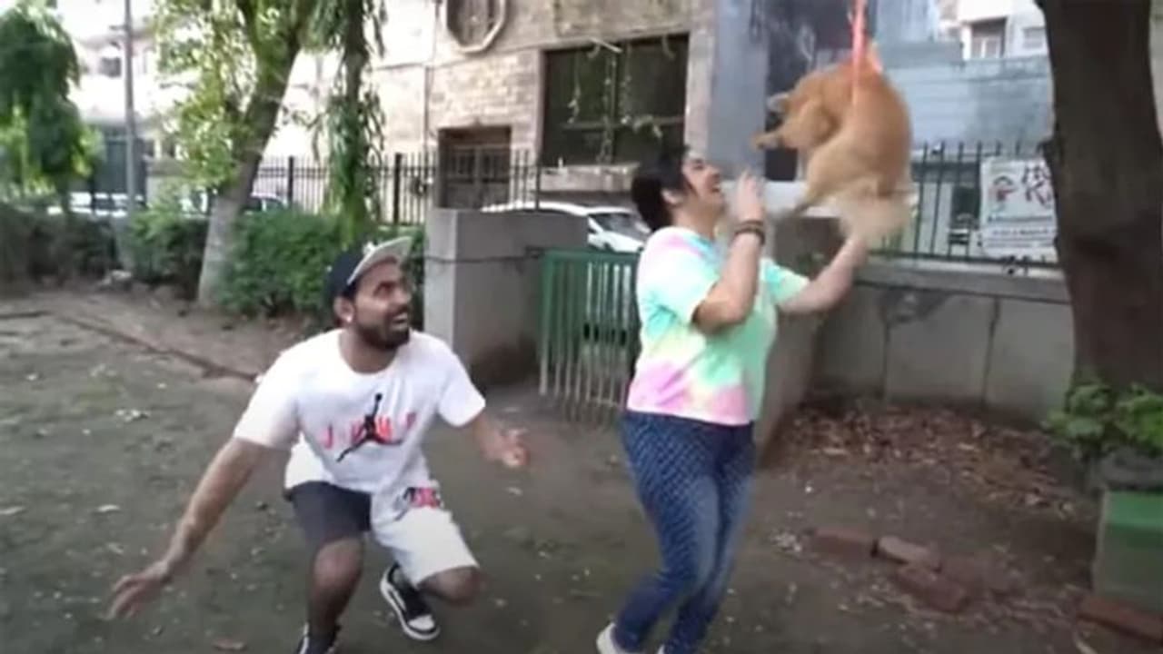 अपने पालतू जानवर को हवा में उड़ाने पर मालिक के ऊपर मामला दर्ज, गुब्बारे से बांध किया ये खतरनाक काम अपने पालतू जानवर को हवा में उड़ाने पर मालिक के ऊपर मामला दर्ज, गुब्बारे से बांध किया ये खतरनाक काम