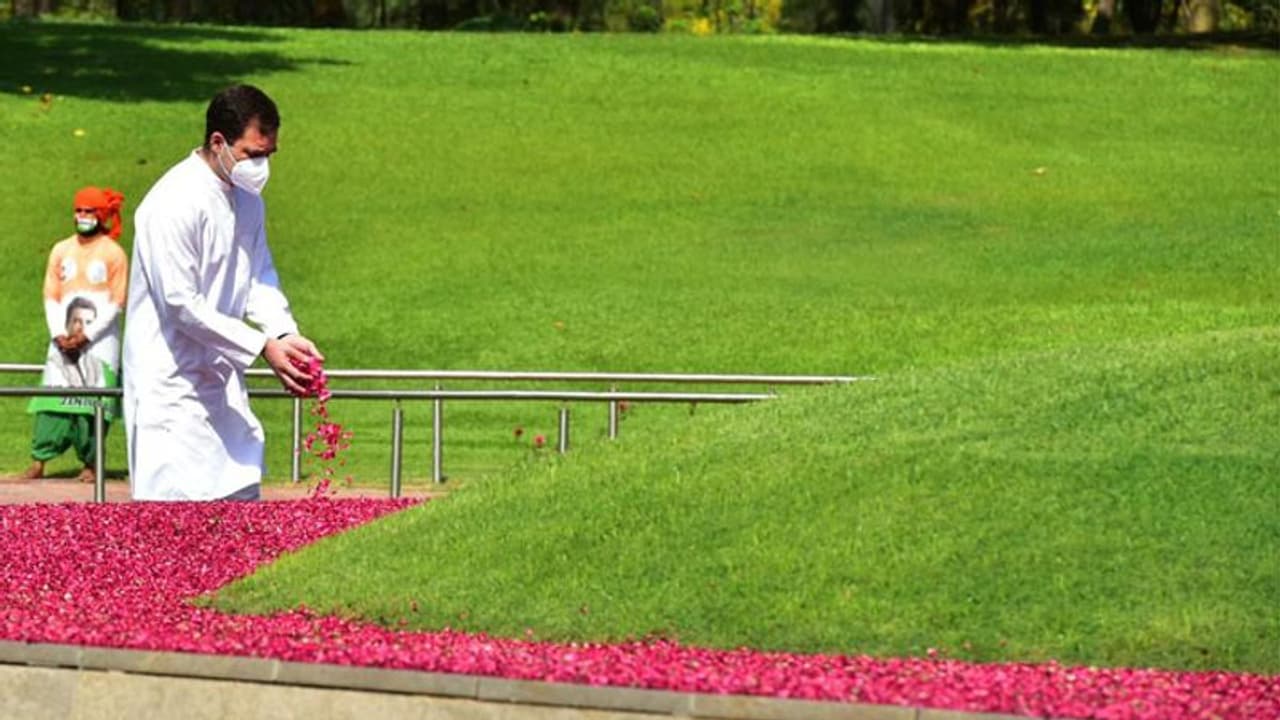 पूर्व प्रधानमंत्री नेहरू की पुण्यतिथि पर राहुल गांधी सहित देश के कई नेताओं ने दी श्रद्धांजलि पूर्व प्रधानमंत्री नेहरू की पुण्यतिथि पर राहुल गांधी सहित देश के कई नेताओं ने दी श्रद्धांजलि