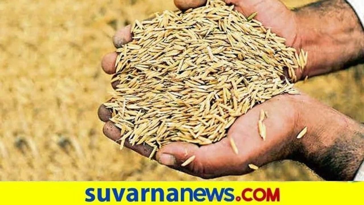 Minimum Support Price : ರೈತರೇ ಬೆಂಬಲ ಬೆಲೆ ಪಡೆಯಲು ನೋಂದಾವಣೆ ಮಾಡಿ