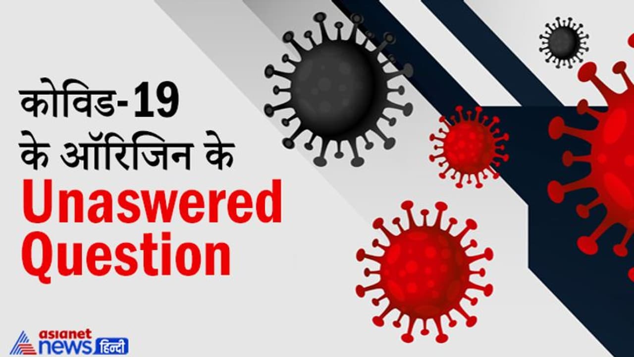 कोविड 19 वायरस को पैदा करने वाला विलेन कौन? वैट या वैट लेडी कोविड 19 वायरस को पैदा करने वाला विलेन कौन? वैट या वैट लेडी