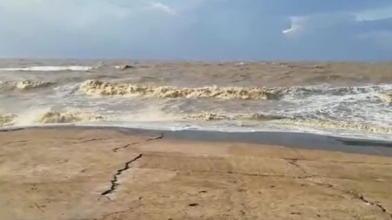 সাত সকালে দিঘার সৈকতে ভেসে উঠল হাজারে হাজারে মাছের দেহ, ছড়াল চাঞ্চল্য সাত সকালে দিঘার সৈকতে ভেসে উঠল হাজারে হাজারে মাছের দেহ, ছড়াল চাঞ্চল্য