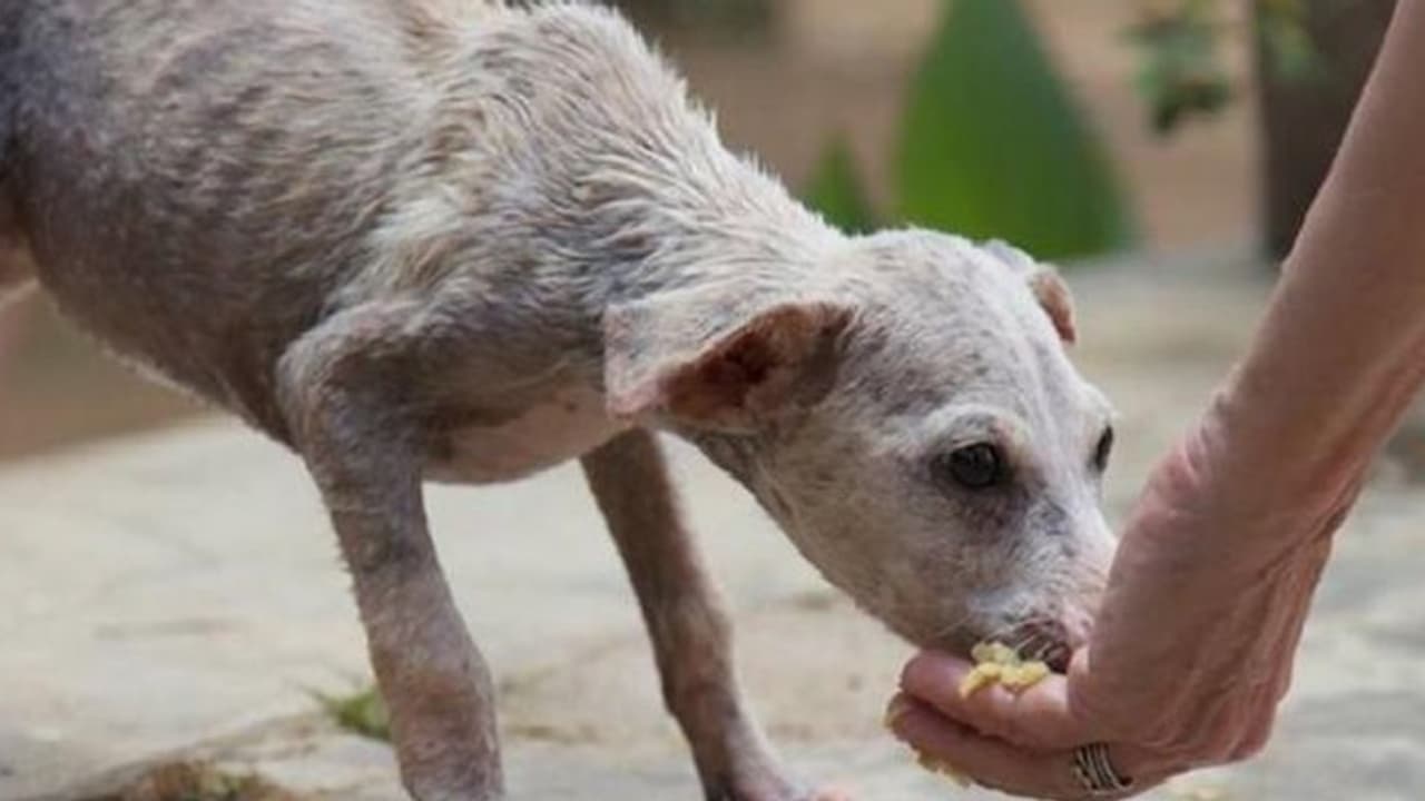 ரூ.9 லட்சம் நிதியை உடனடியாக விடுவியுங்கள்... தமிழக அரசுக்கு ஐகோர்ட் அதிரடி உத்தரவு...!