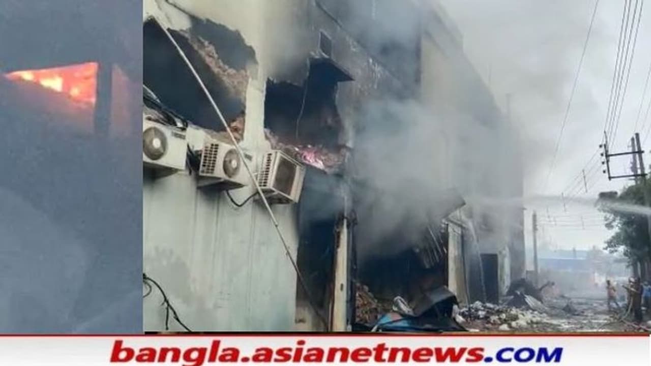 ২৪ ঘন্টা পরেও নিভল না আগুন সাজিরহাটের কারখানায়, উদ্বেগের মুখে এলাকাবাসী ২৪ ঘন্টা পরেও নিভল না আগুন সাজিরহাটের কারখানায়, উদ্বেগের মুখে এলাকাবাসী