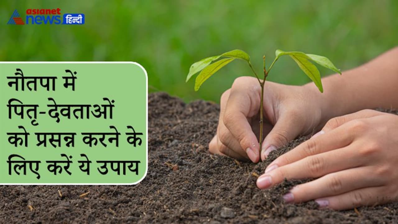 3 जून तक रहेगा नौतपा, इस दौरान पौधे लगाने और पेड़ में पानी डालने से प्रसन्न होते हैं पितृ और देवता