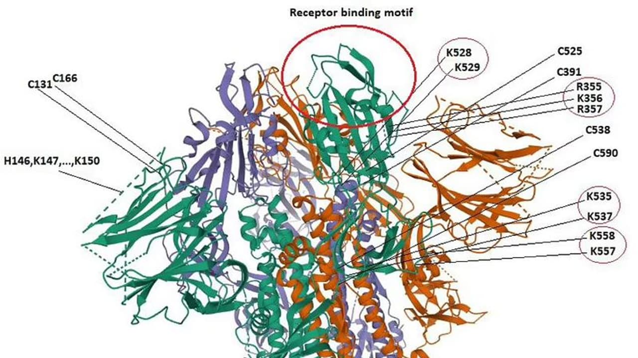 Research:वुहान लैब में ही बना है कोरोना वायरस, अमेरिका ने भी की फंडिंग, चीन ने रिवर्स इंजीनियरिंग से दिया धोखा Research:वुहान लैब में ही बना है कोरोना वायरस, अमेरिका ने भी की फंडिंग, चीन ने रिवर्स इंजीनियरिंग से दिया धोखा