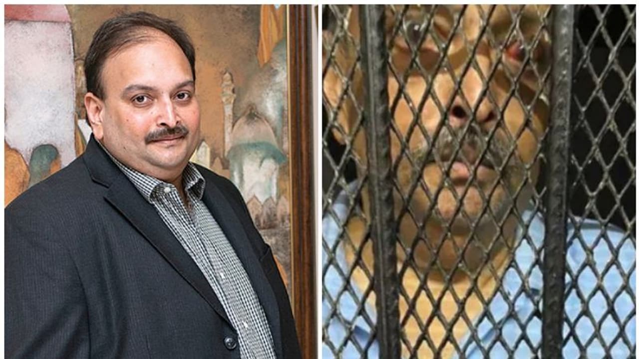 കോടികളുടെ വായ്പ്പാ തട്ടിപ്പ് നടത്തി ഇന്ത്യ വിട്ട മെഹുല് ചോക്സി ജയിലില്; ചിത്രം പുറത്ത് കോടികളുടെ വായ്പ്പാ തട്ടിപ്പ് നടത്തി ഇന്ത്യ വിട്ട മെഹുല് ചോക്സി ജയിലില്; ചിത്രം പുറത്ത്