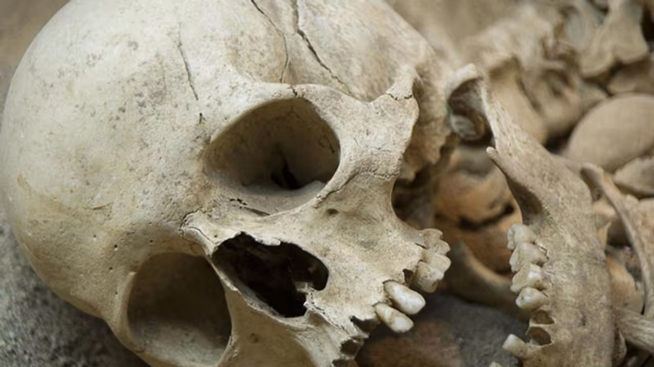 രാവിലെ കുളിക്കാനായി യുവാക്കളെത്തി, ആളൊഴിഞ്ഞ പറമ്പിൽ മനുഷ്യന്‍റെ അസ്ഥികൂടം കണ്ടെത്തി