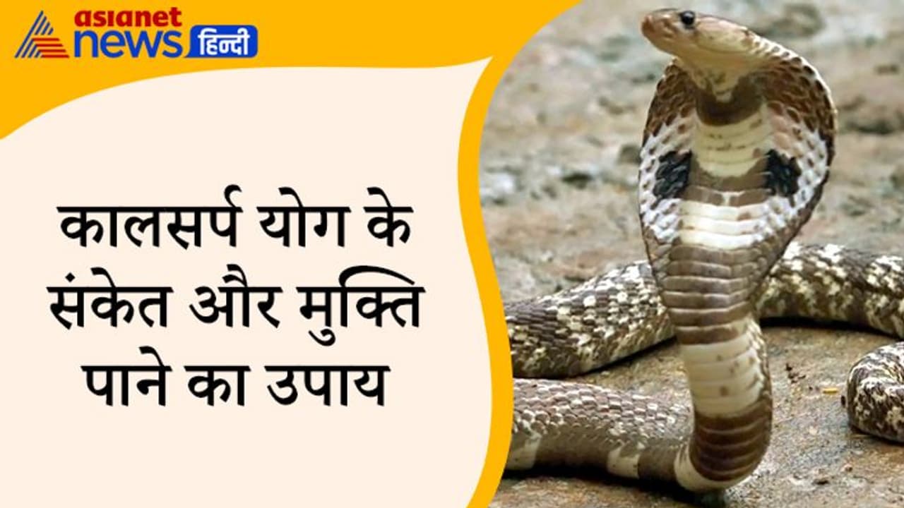 पाप ग्रह हैं राहु केतु, इन दोनों के कारण ही कुंडली में बनता है कालसर्प दोष, जानिए इससे जुड़ी खास बातें पाप ग्रह हैं राहु केतु, इन दोनों के कारण ही कुंडली में बनता है कालसर्प दोष, जानिए इससे जुड़ी खास बातें