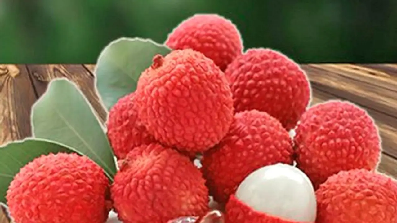 Death from litchi in Assam, death from litchi, Assam news