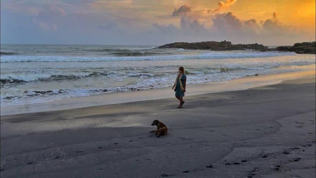 ശമ്പളമില്ല, അധിക ജോലിയെന്നും പരാതി; ലൈഫില്ലാതെ കോവളത്തെ ലൈഫ് ഗാര്‍ഡുകള്‍