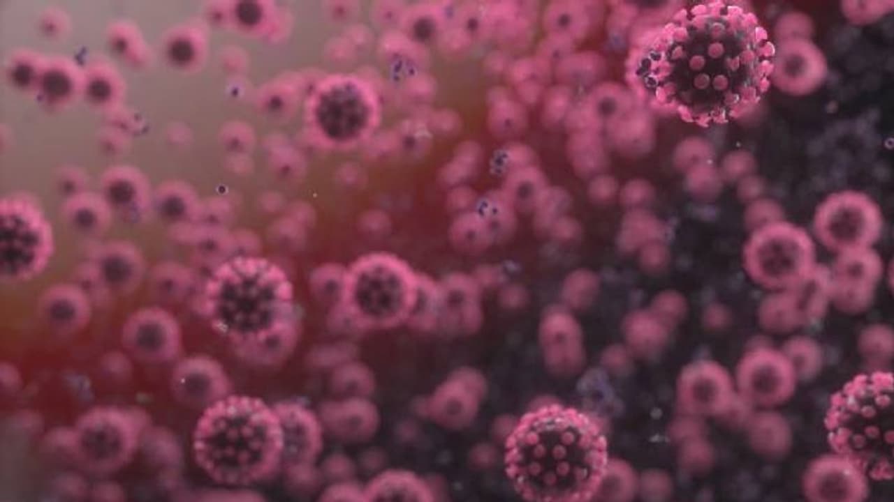 ಬ್ರಿಟನ್ ಮೇಲೂ ಡೆಲ್ಟಾ ದಾಳಿ: ಭಾರತದಲ್ಲಿ ಪತ್ತೆಯಾದ ವೈರಸ್ ಅಬ್ಬರವೇ ಹೆಚ್ಚು! ಬ್ರಿಟನ್ ಮೇಲೂ ಡೆಲ್ಟಾ ದಾಳಿ: ಭಾರತದಲ್ಲಿ ಪತ್ತೆಯಾದ ವೈರಸ್ ಅಬ್ಬರವೇ ಹೆಚ್ಚು!