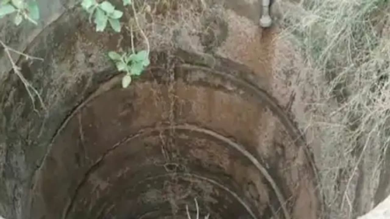 शादी में डीजे की धुन पर नाच रहे थे बाराती, सायरन बजा तो मची भगदड़, कुएं में गिरे 3 बच्चे शादी में डीजे की धुन पर नाच रहे थे बाराती, सायरन बजा तो मची भगदड़, कुएं में गिरे 3 बच्चे