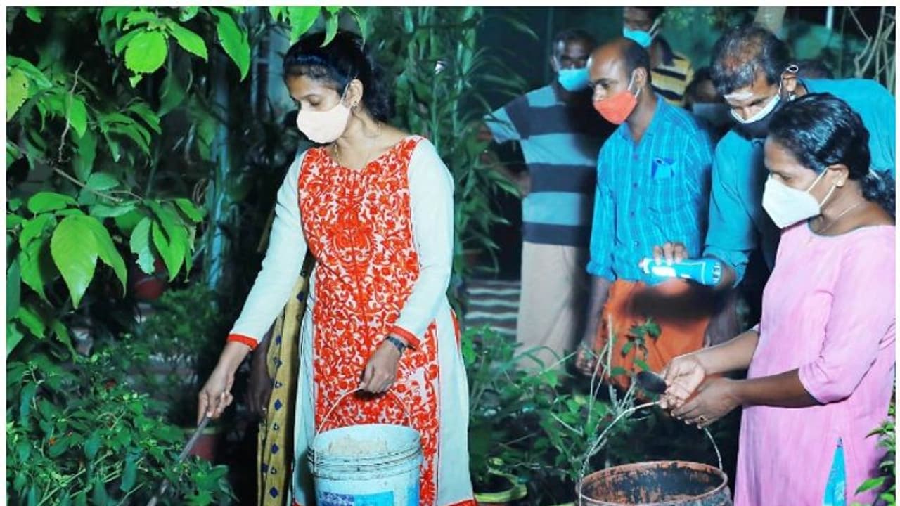 ആഫ്രിക്കന് ഒച്ചുകളെ കൂട്ടത്തോടെ നശിപ്പിക്കും; 'ഒച്ച് രഹിത ഗ്രാമം' പദ്ധതിയുമായി ഈ പഞ്ചായത്ത് ആഫ്രിക്കന് ഒച്ചുകളെ കൂട്ടത്തോടെ നശിപ്പിക്കും; 'ഒച്ച് രഹിത ഗ്രാമം' പദ്ധതിയുമായി ഈ പഞ്ചായത്ത്