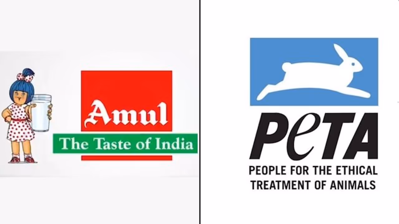 Explained: Behind the Amul Vs PETA battle over milk Explained: Behind the Amul Vs PETA battle over milk