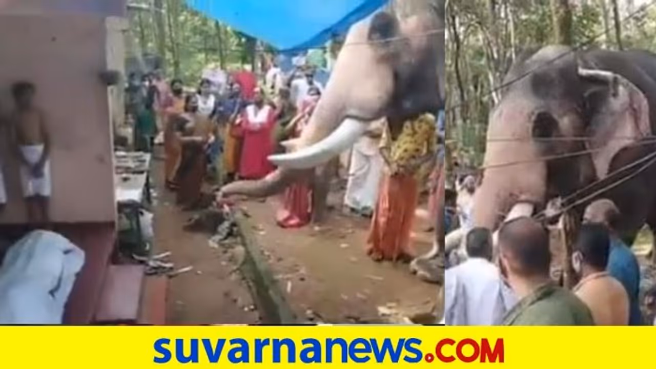 ಮರೆಯಾದ ಮಾವುತನಿಗೆ ಗಜರಾಜನ ಕಣ್ಣೀರ ವಿದಾಯ; ವಿಡಿಯೋ ಮರೆಯಾದ ಮಾವುತನಿಗೆ ಗಜರಾಜನ ಕಣ್ಣೀರ ವಿದಾಯ; ವಿಡಿಯೋ