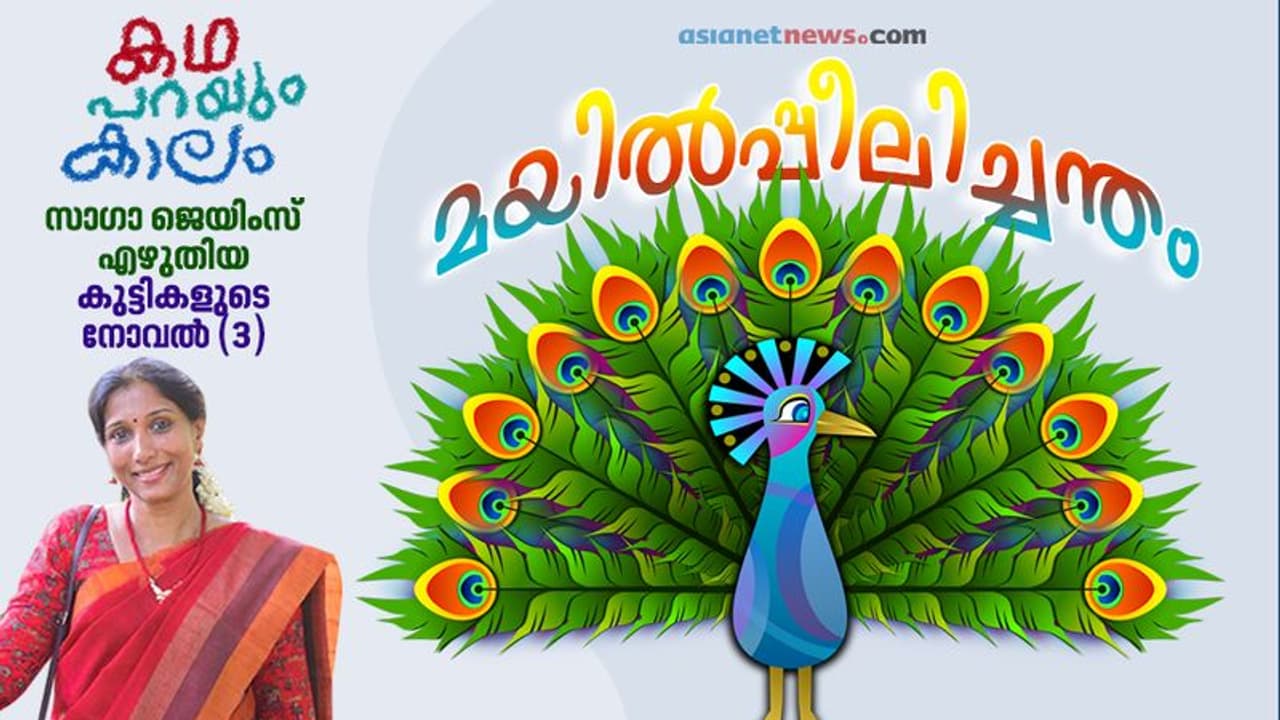മയില്പ്പീലിക്ക് എവിടുന്നാണ് ഇത്രയും നിറങ്ങള്? മയില്പ്പീലിക്ക് എവിടുന്നാണ് ഇത്രയും നിറങ്ങള്?
