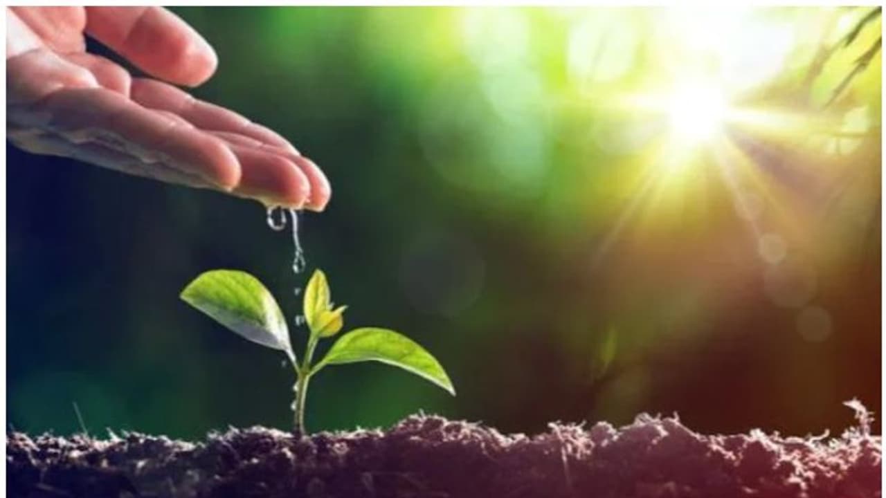 ഇന്ന് ലോക പരിസ്ഥിതി ദിനം; പ്രകൃതിയെയും ഭൂമിയെയും സംരക്ഷിക്കാം