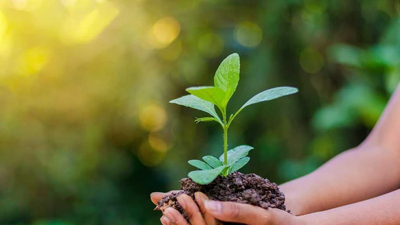 World Environment Day 2022 : ലോക പരിസ്ഥിതി ദിനം ജൂൺ 5 ന്; വിവിധ പദ്ധതികളുമായി യുഎന്‍ഇപി