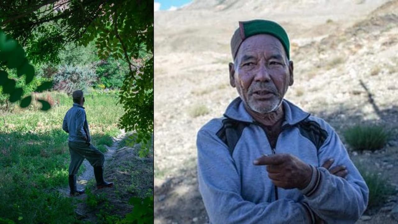 പുല്നാമ്പുപോലും കിളിര്ക്കാത്ത മരുഭൂമിയില് കാടുവെച്ചു പിടിപ്പിച്ച ഒരാള്! പുല്നാമ്പുപോലും കിളിര്ക്കാത്ത മരുഭൂമിയില് കാടുവെച്ചു പിടിപ്പിച്ച ഒരാള്!